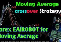 Moving Average cross Forex Robot / EA and strategies. Best Robot for Forex Trader
