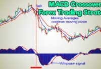 Best  MACD|Moving Average  Crossover Forex Trading Strategy 2019