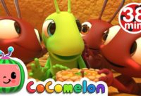 The Ant and the Grasshopper + More Nursery Rhymes & Kids Songs – CoComelon
