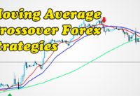 Profitable Best Moving Average Crossover Forex strategies|How To Use the Exponential Moving Average