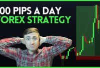 Simple Forex Trading Strategy: How to Catch 100 Pips a Day