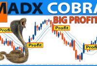 🔴The Only MA & ADX Indicator Trading Strategy You Will Ever Need (FULL TUTORIAL) – MADX Cobra System