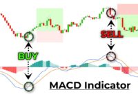 Ultimate Beginners Guide To The MACD Indicator [Become An Expert Immediately]