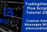 TradingView Pine Script Tutorial 20 – Custom Alert Messages With alertcondition
