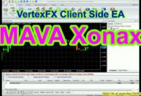 MAVA Xonax Expert Advisor for VertexFX Trading Terminal