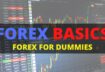 Forex Trading For Dummies – Forex Basics (In-Depth Training For Beginners)