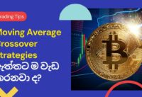 Do Moving Average Crossover Strategies really work? – Sinhala