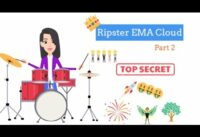 How to effectively use EMA Cloud by Ripster?
